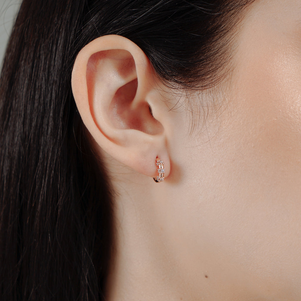 Brett Cubic Earrings