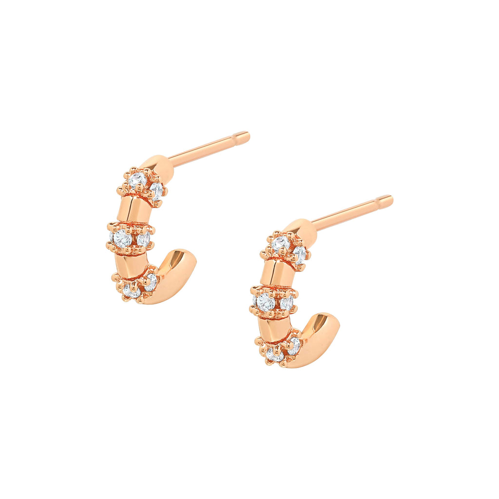 Brett Cubic Earrings